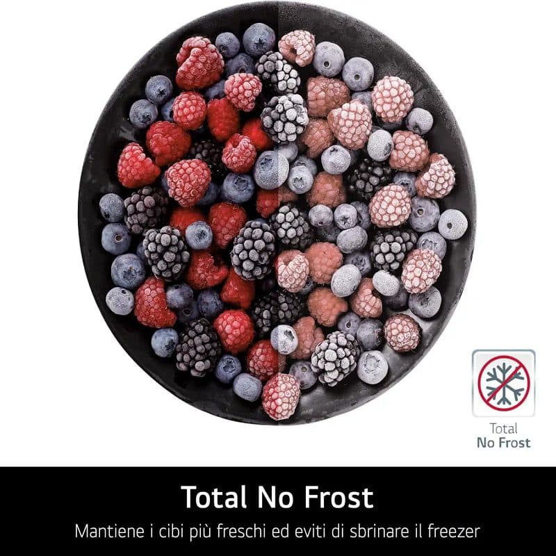 Frigorifero LG Doppia porta No Frost 509 lt Classe E Beige GTF744SEPED - 5